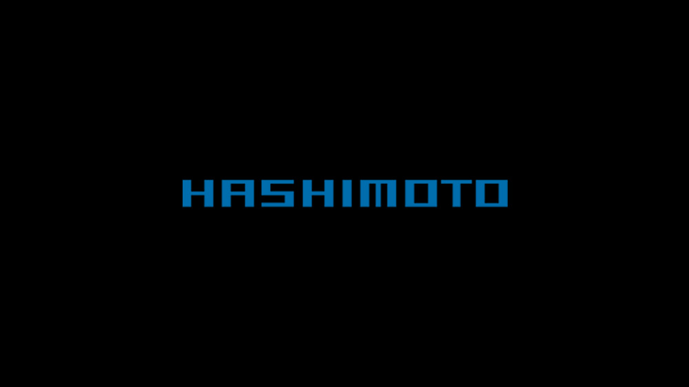 株式会社 橋本組 山留工事や仮設桟橋工事 建造物解体工事 とび 土工工事はお任せください 株式会社 橋本組 山留工事や仮設桟橋工事 建造物解体工事 とび 土工工事はお任せください
